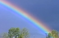 「虹の心/ Rainbow Heart」